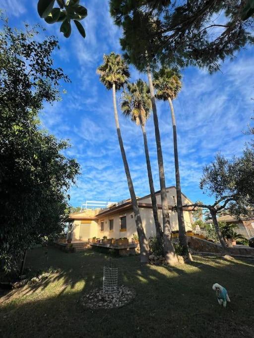 Casa Parra Villa Deltebre Bagian luar foto