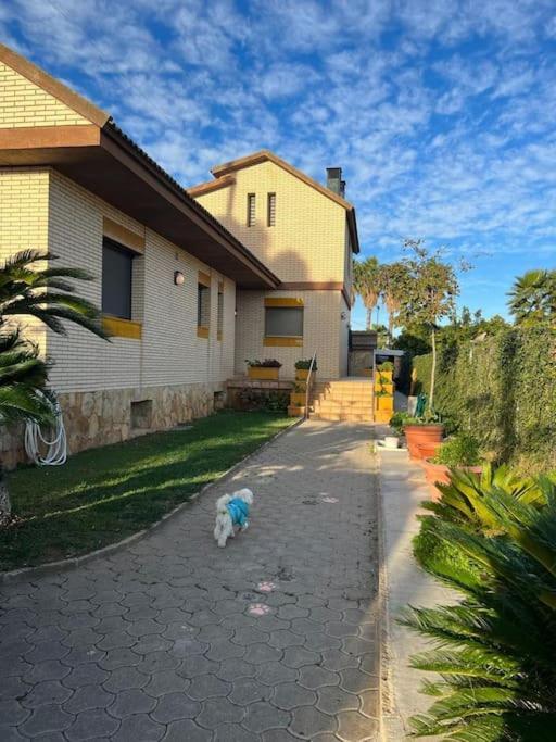 Casa Parra Villa Deltebre Bagian luar foto