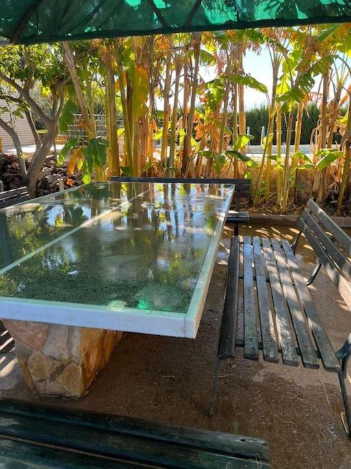 Casa Parra Villa Deltebre Bagian luar foto