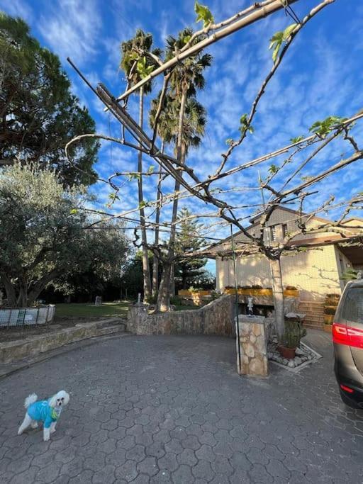 Casa Parra Villa Deltebre Bagian luar foto