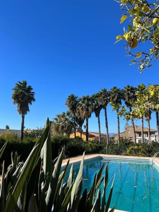 Casa Parra Villa Deltebre Bagian luar foto